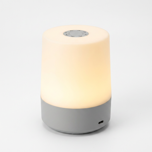 Touch Bedside Lamp